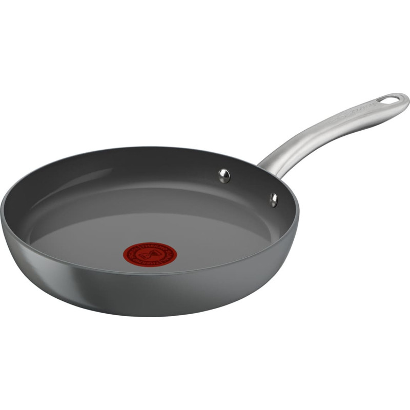 Pan Tefal C4240753 Grey Aluminium Ø 30 cm