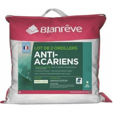 Spilvens Blanreve Balts 60 x 60 cm (2 gb.)