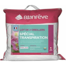 Spilvens Blanreve Balts 60 x 60 cm (2 gb.)