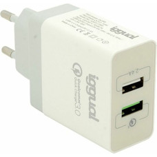 Wall Charger iggual IGG317389