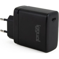 Wall Charger iggual IGG318430