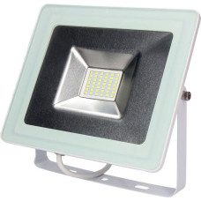 Floodlight/Projector Light EDM 50 W 3500 lm 6400K