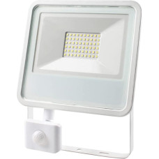 Floodlight/Projector Light EDM 50 W 3500 lm 6400K