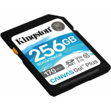 SD Memory Card Kingston SDG3/256GB