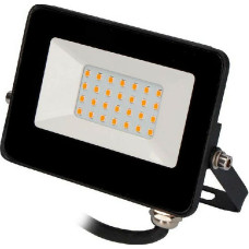 Floodlight/Projector Light EDM 20 W