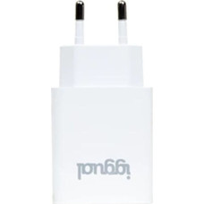 Wall Charger iggual IGG318188 12 W