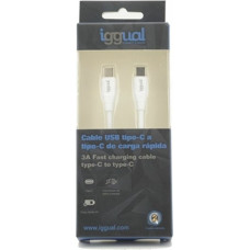 Wall Charger iggual IGG317365