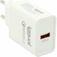 Wall Charger iggual IGG317174