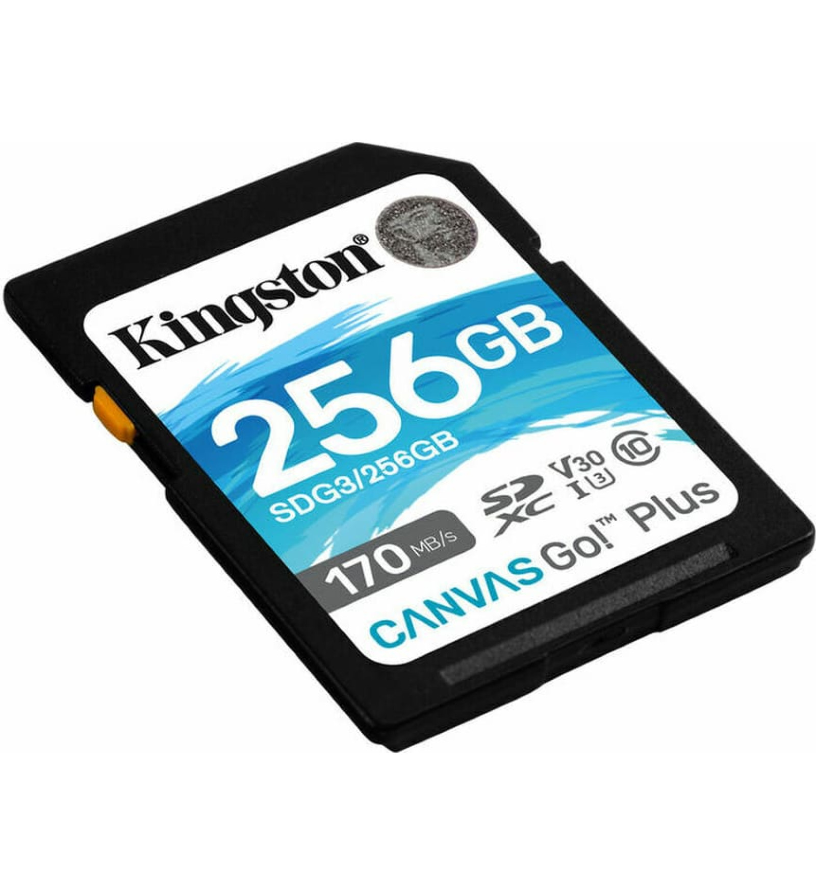 SD Atmiņas Karte Kingston SDG3/256GB 256GB 256 GB